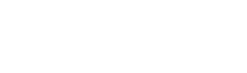 Logo Stedin Groep